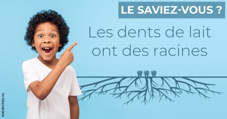 https://dr-veronique-amard.chirurgiens-dentistes.fr/Les dents de lait 2