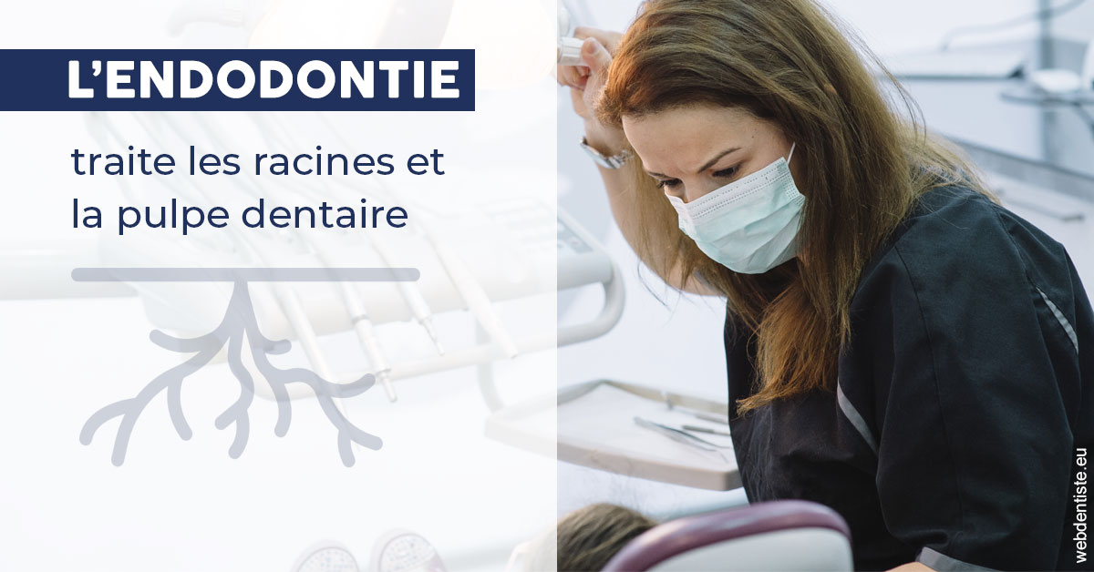 https://dr-veronique-amard.chirurgiens-dentistes.fr/L'endodontie 1