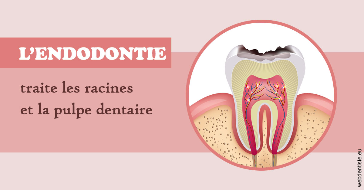 https://dr-veronique-amard.chirurgiens-dentistes.fr/L'endodontie 2
