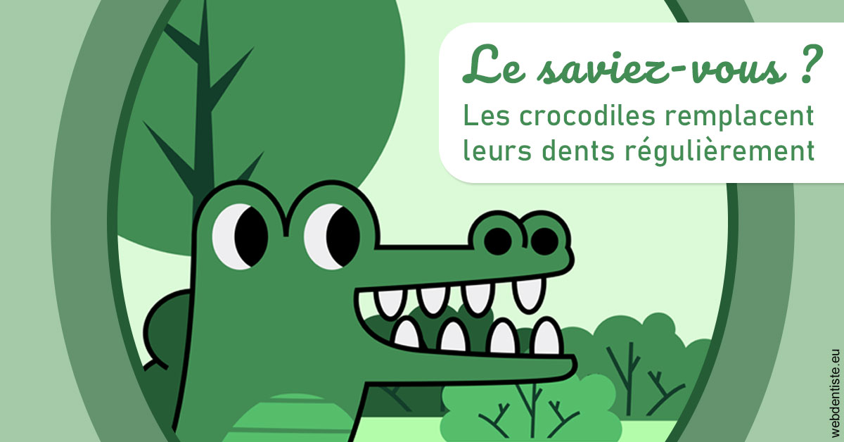 https://dr-veronique-amard.chirurgiens-dentistes.fr/Crocodiles 2